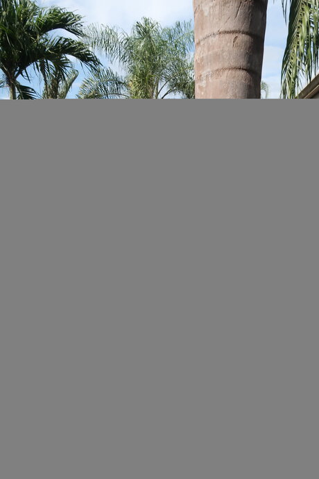 Hail Fitgirl onlyfans leaked.