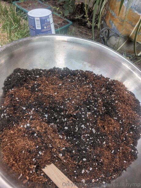 Natures Lil Nymp leak onlyfans