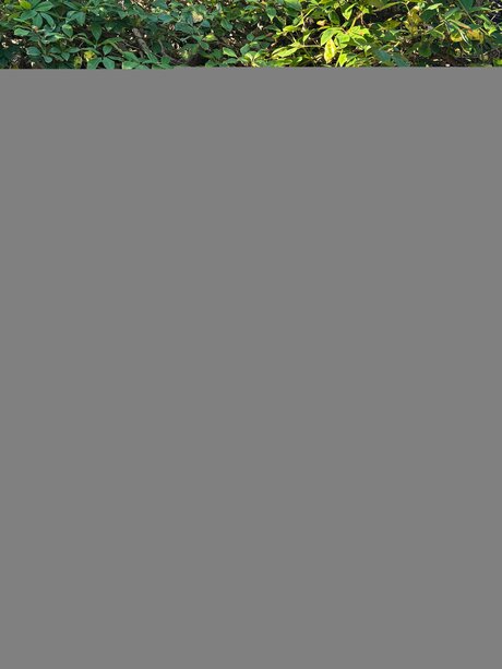 Livwa naked onlyfans pics