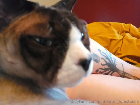 Pinkwater Forestpixie onlyfans leak