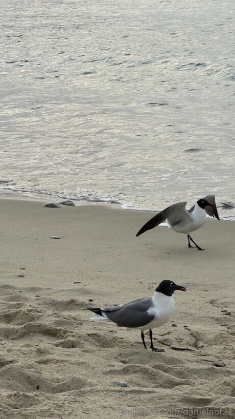 Danielaof21 nudes onlyfans leaks