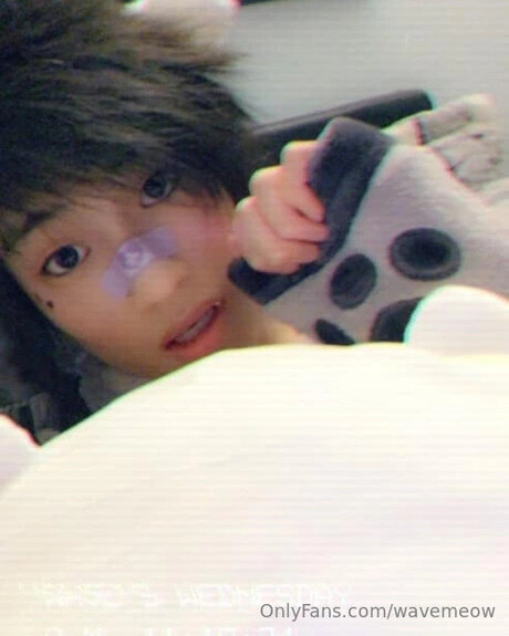 Wavemeow nude on onlyfans