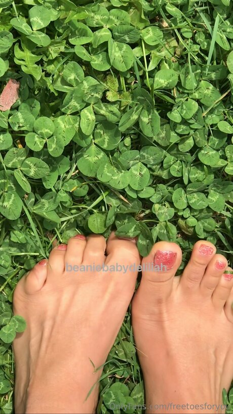 Freetoesforyou free onlyfans