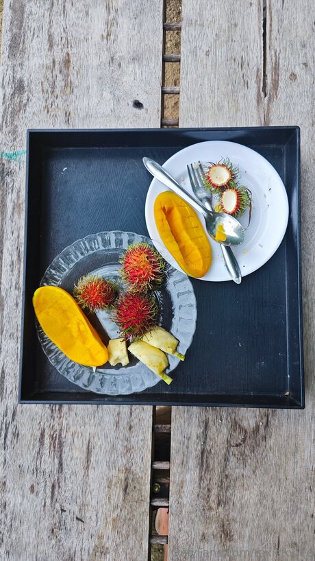 Rexistonee only fans.