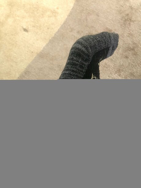 Alexacelia nudes onlyfans leak