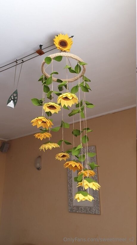 Sweetmeel S2 topless onlyfans