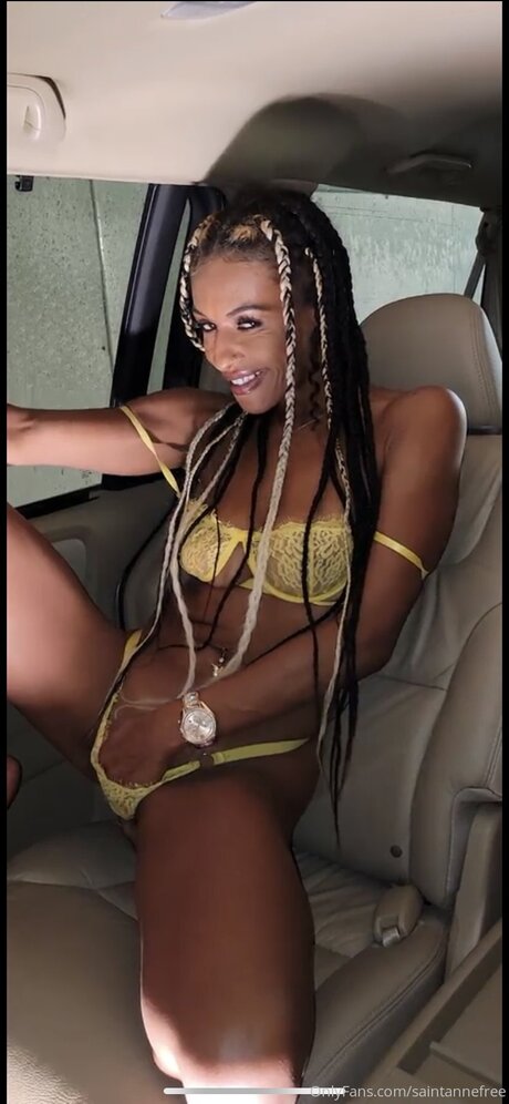 Saintannefree Profile pic