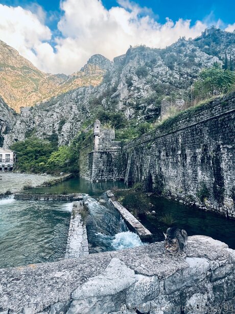 Nordicguy94 onlyfans strip tease