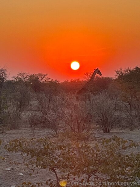 Nordicguy94 porn only fans
