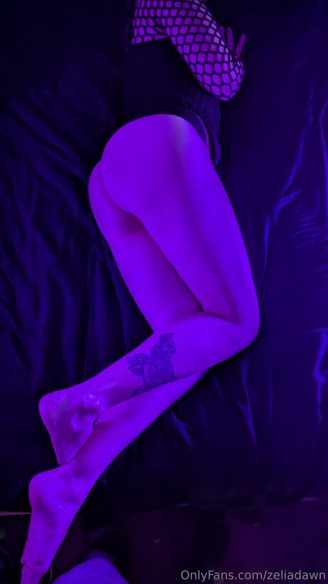 Zeliadawn free onlyfans porn