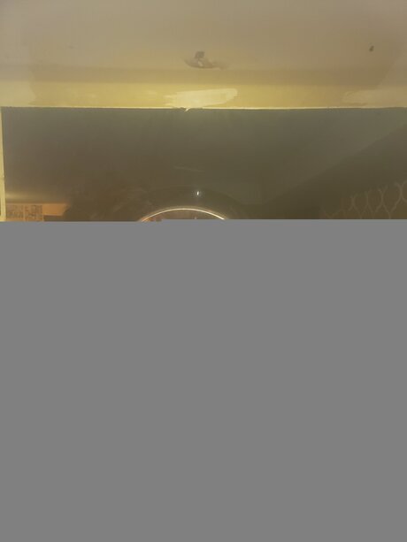 Dumbcuntfree only fans pic