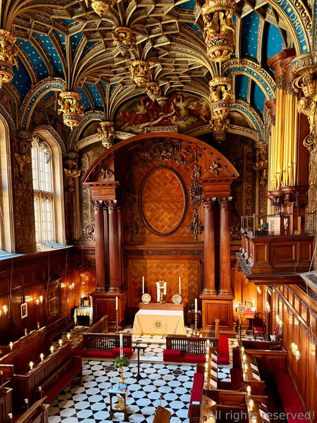 Travelsunshine only fans leaks porn