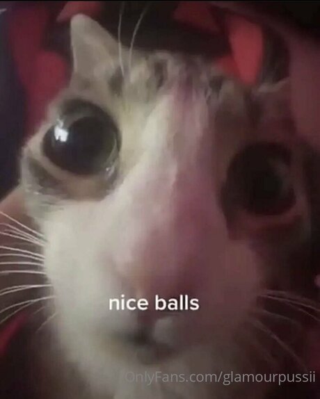 Glamourpussii onlyfans sextape leak