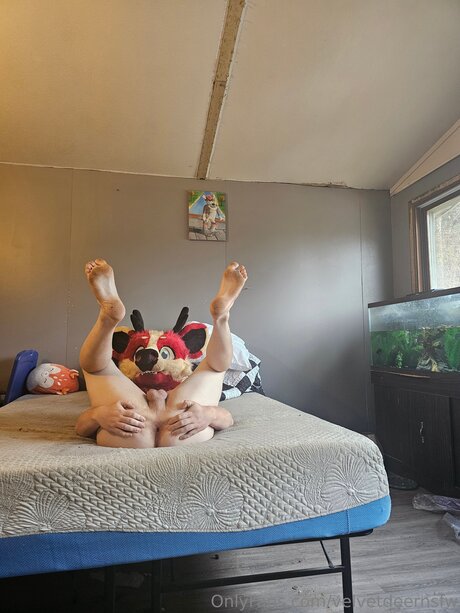 Velvetdeernsfw xxx onlyfans