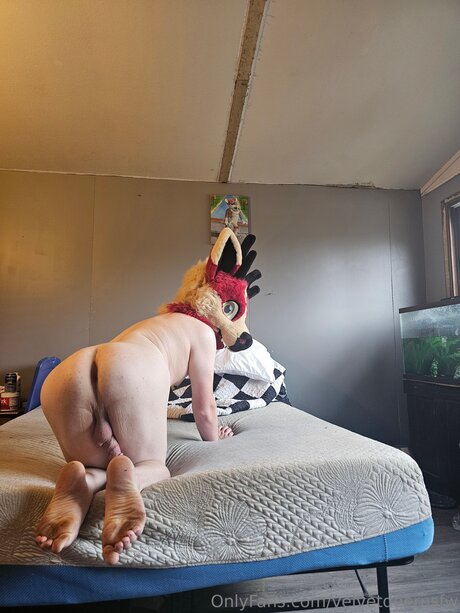 Velvetdeernsfw onlyfans leaked photos