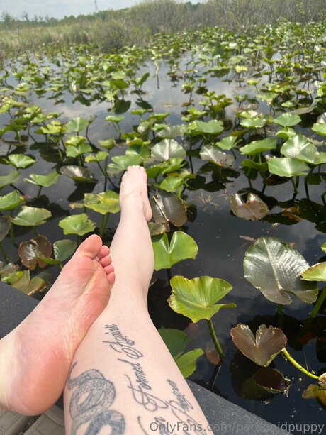 Paranoidpuppy onlyfans leak porn