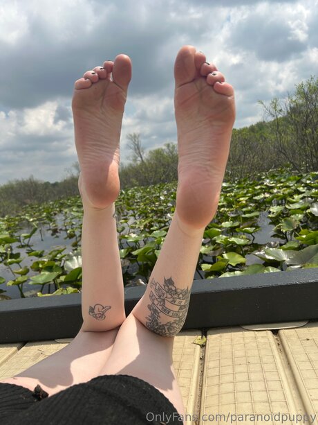 Paranoidpuppy nudes onlyfans leaked