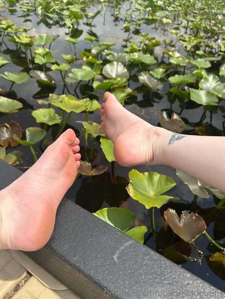 Paranoidpuppy onlyfans tits