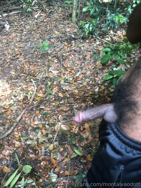 Montalvaodott onlyfans pictures