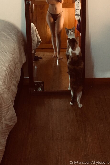 Shybaby Ib onlyfans explicit content