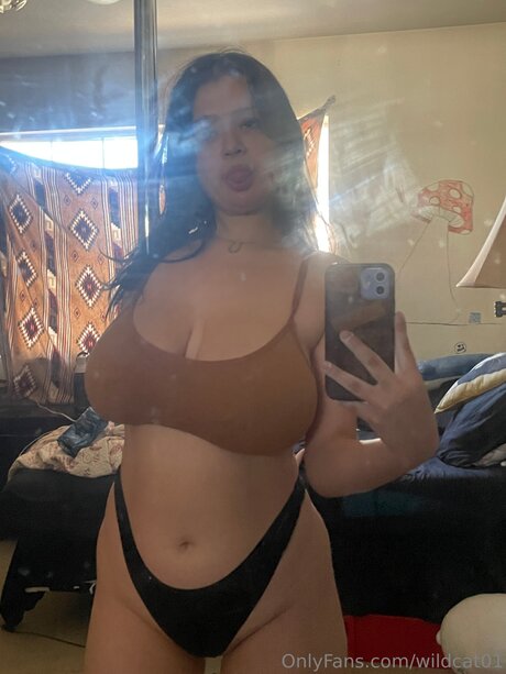 Wildcat01 onlyfans content