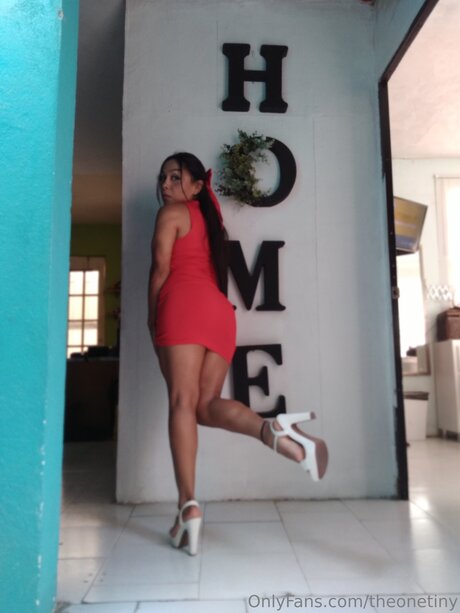 Theonetiny leaked onlyfans sex