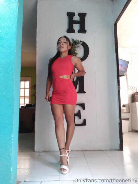 Theonetiny is on onlyfans