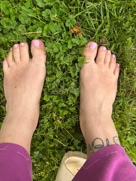 Gabbyglazer leaked onlyfans porn