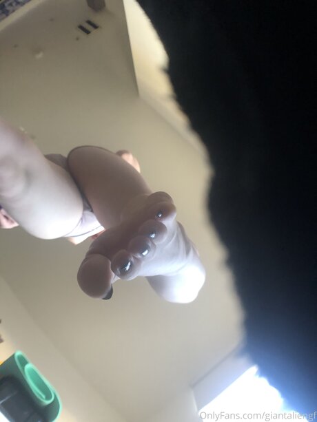 Giantaliengf Profile pic