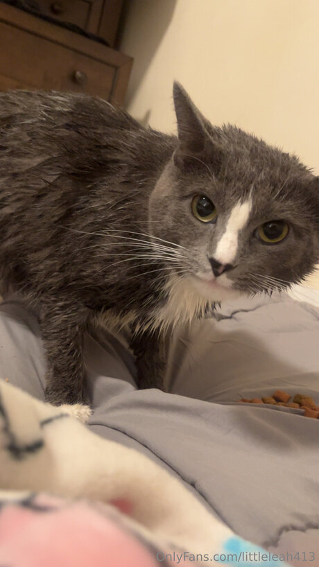 Littleleah413 pics onlyfans