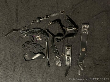 U423114135 onlyfans topless