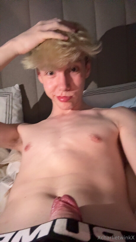 Xcharlietwinkx desnuda onlyfans