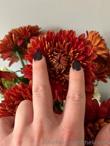 Chelicer69 onlyfans content leaked