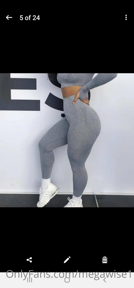 Megawise1 nude on onlyfans