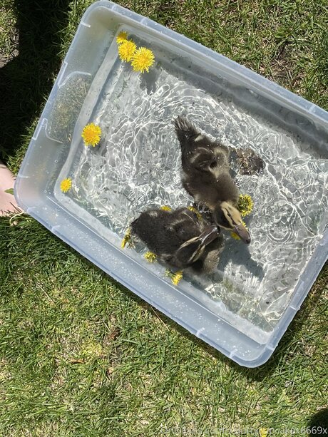 Xsluttycupcakex6669x onlyfans leaks porn