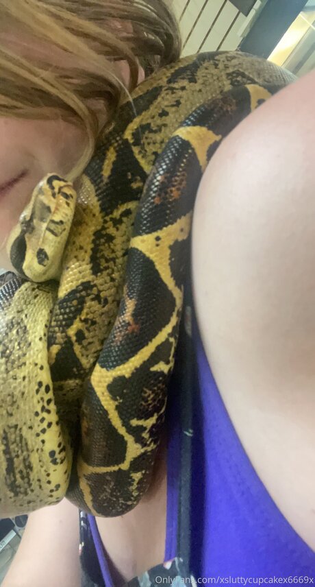 Xsluttycupcakex6669x onlyfans content