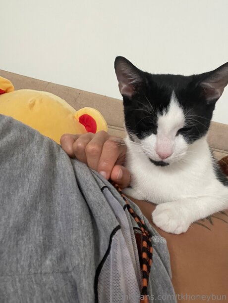 Tkhoneybun onlyfans leaked pics