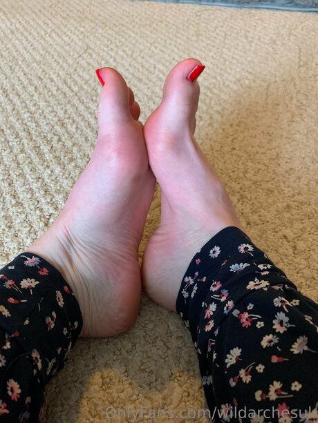 Wildarchesuk Profile pic