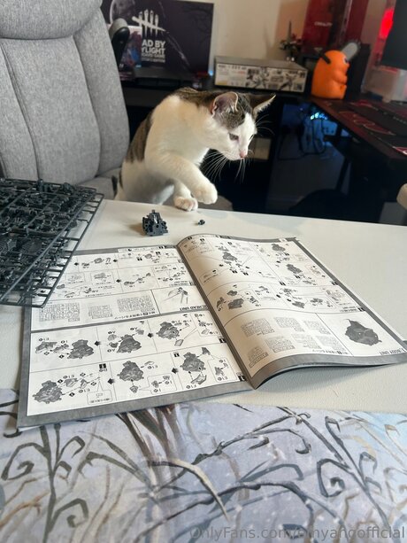 Emyangofficial onlyfans leaked