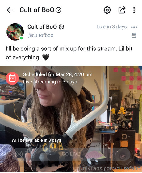 Cultofboo leaked onlyfans.