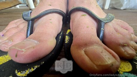 Ladykassmenagerie onlyfans naked leaks