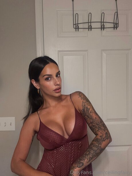 Ceilingfairy onlyfans free