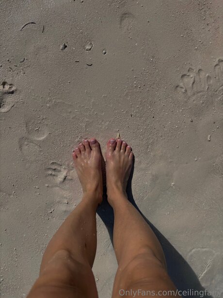 Ceilingfairy onlyfans leakes