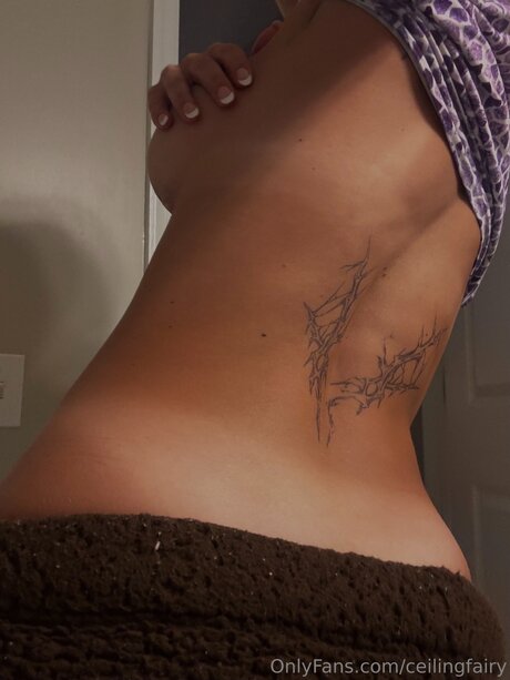 Ceilingfairy onlyfans joi