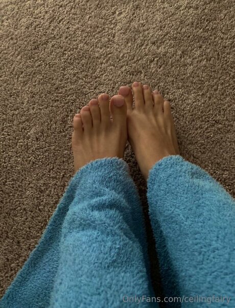 Ceilingfairy only fans porn