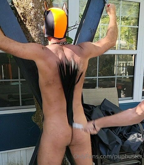 Pupbuster onlyfans pics