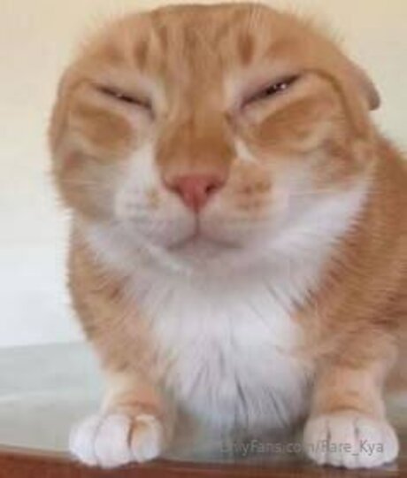 Rare Kya only fans leaks