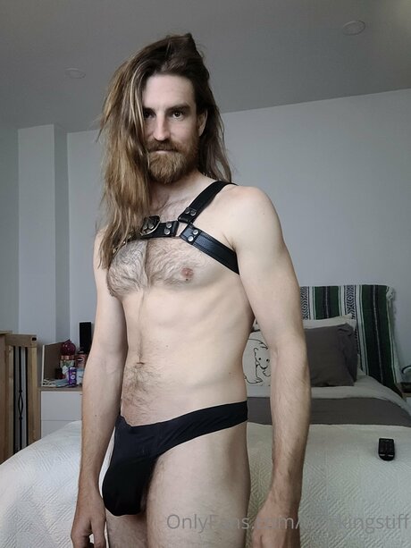 Workingstiff leaks only fans