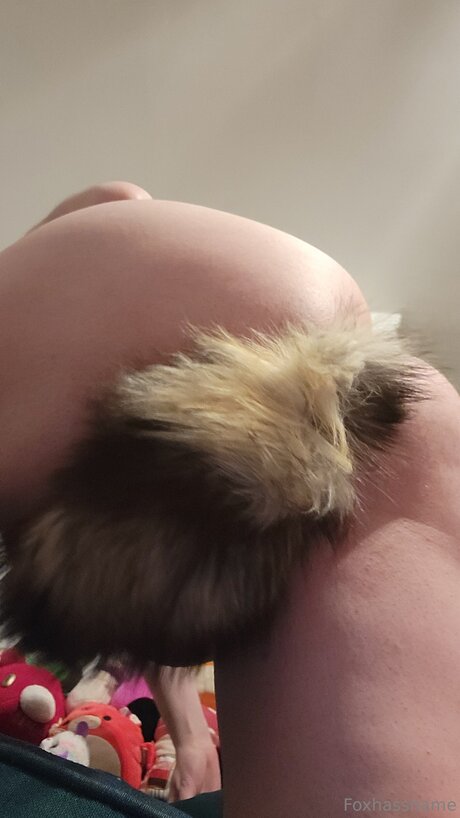 Foxhasshame free only fans