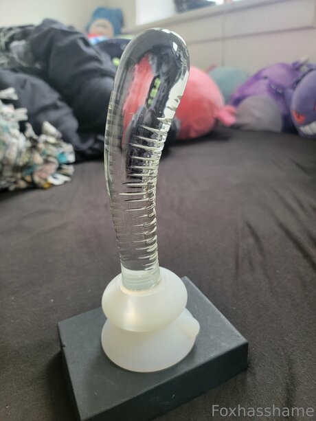 Foxhasshame new onlyfans leaks